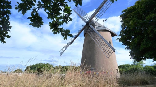 Bembridge Windmill faces into the sunshine on a bright summer's day